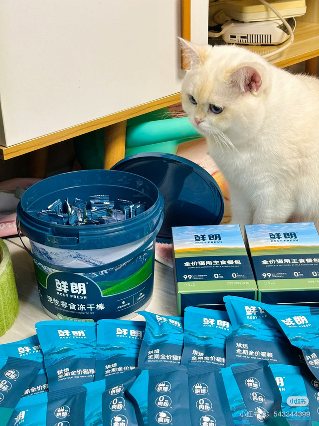 鲜朗全家桶：猫咪健康饮食选择