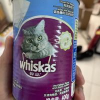 让猫吃罐头太难了!!