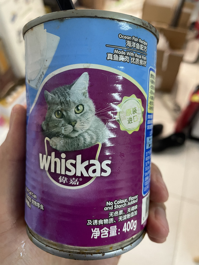 让猫吃罐头太难了！！