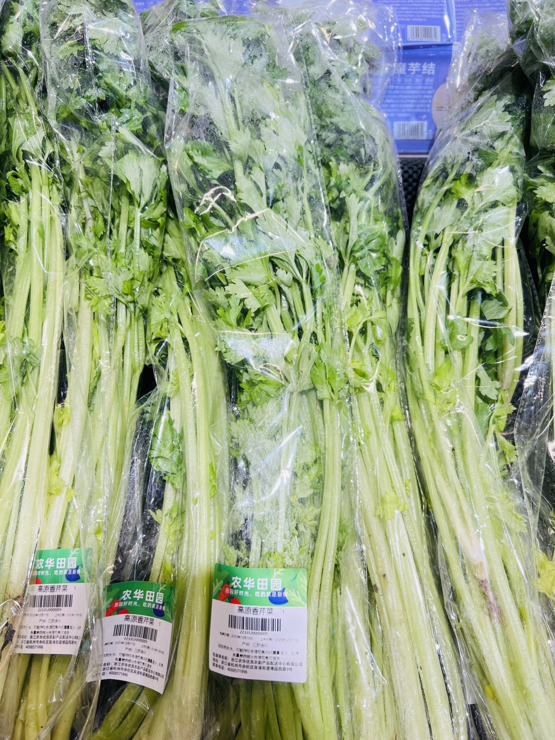 冬日暖锅:一口烟火气,暖胃又暖心