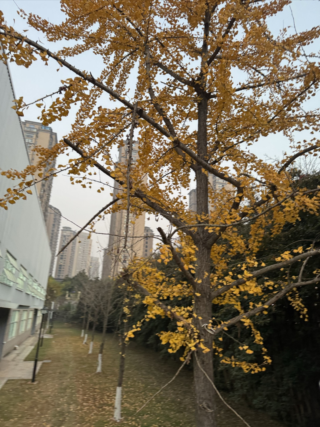新机开箱初体验