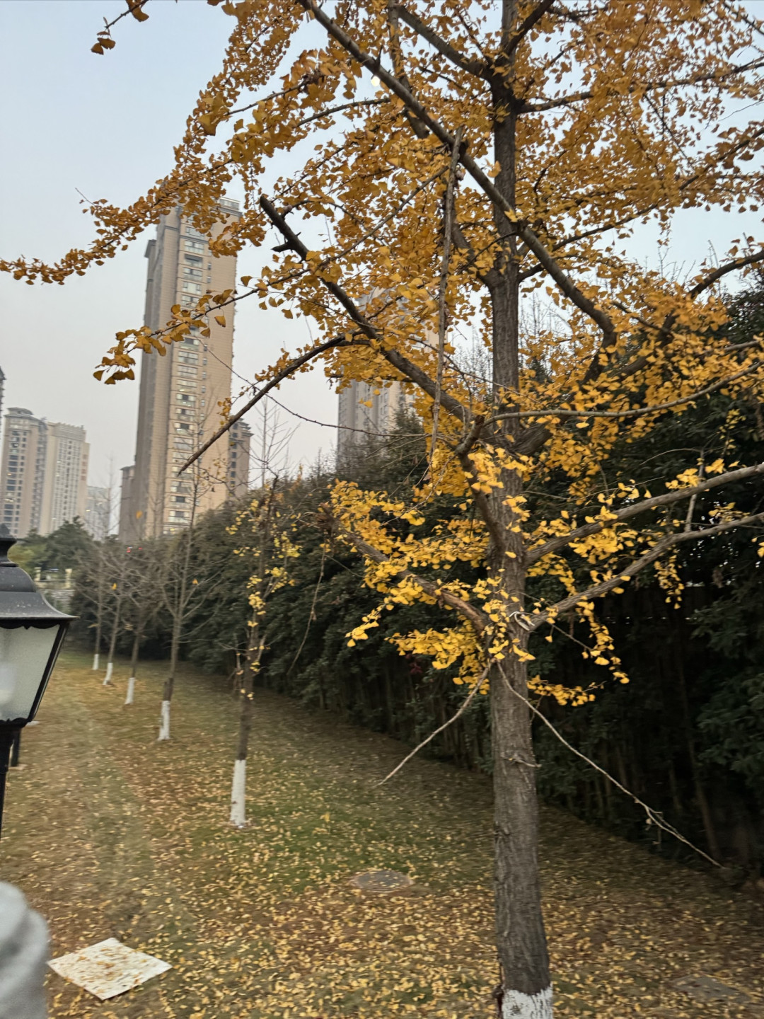 新机开箱初体验