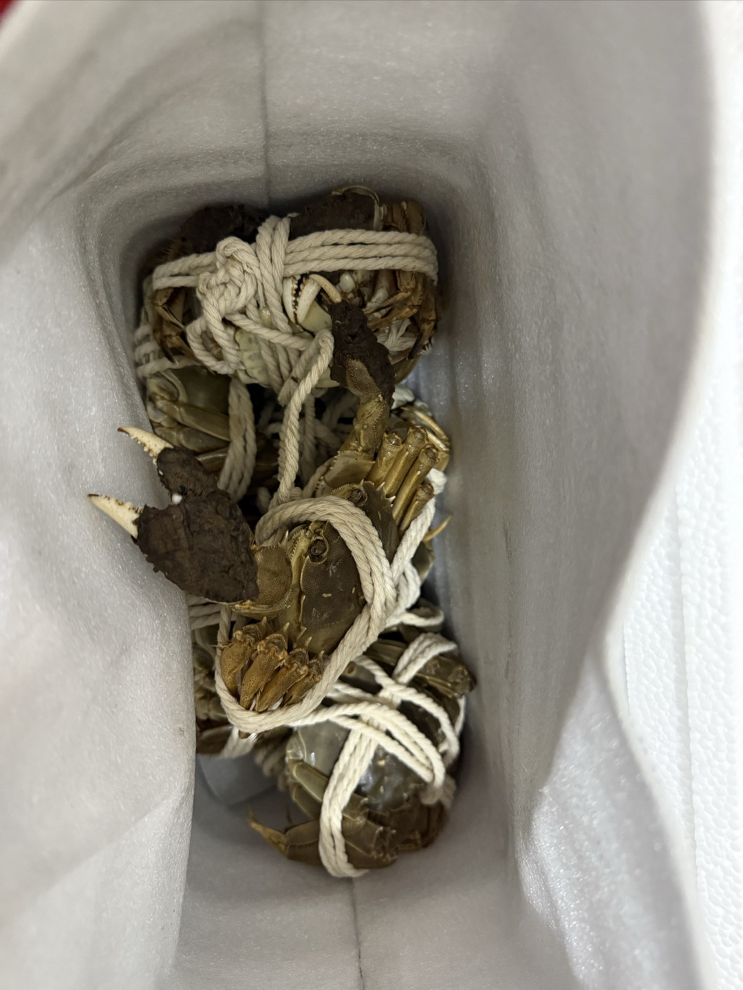 开箱