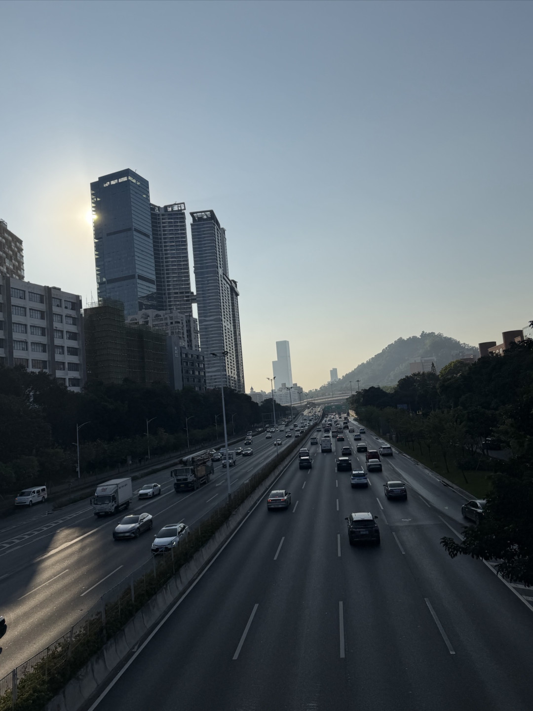 深圳烟火气里的小美好