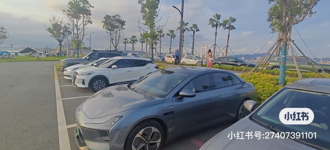 MONA年度总结 | 我的爱车