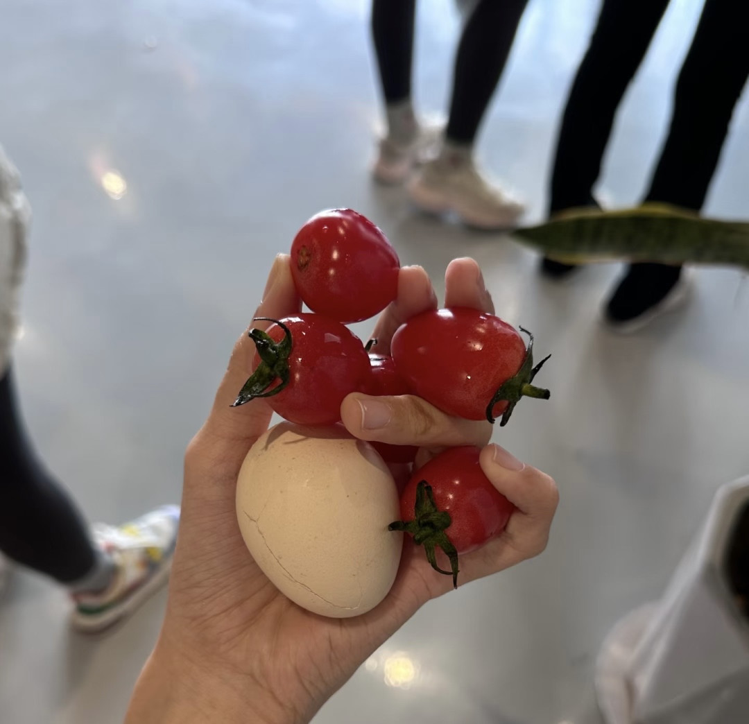运动与营养的系统重构