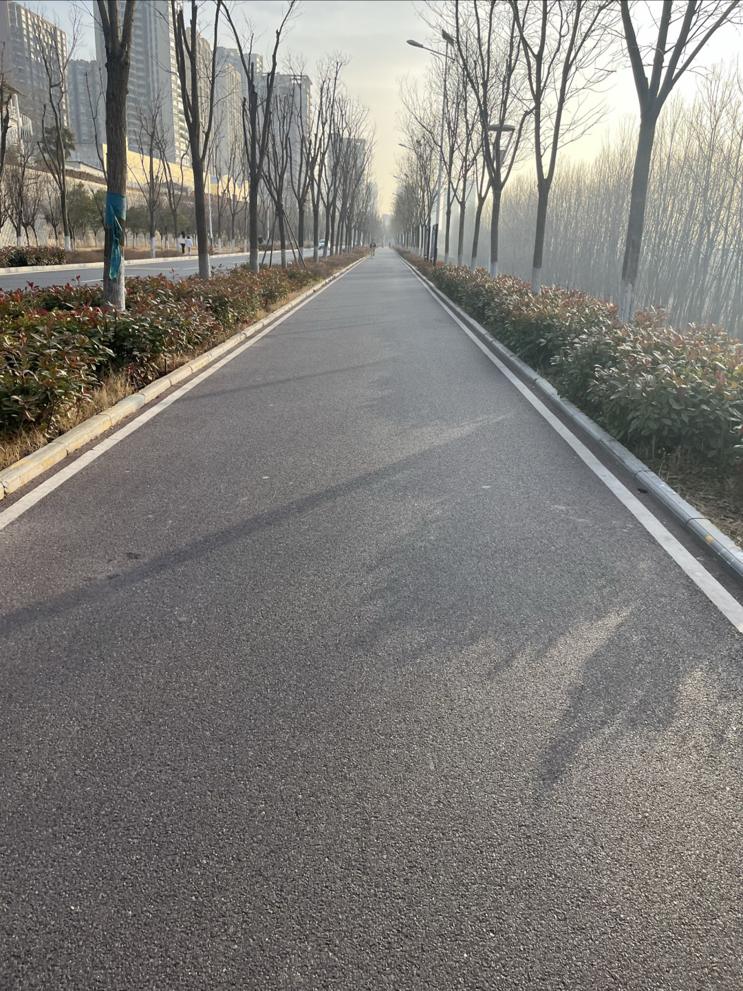 街头巷尾的喜庆红
