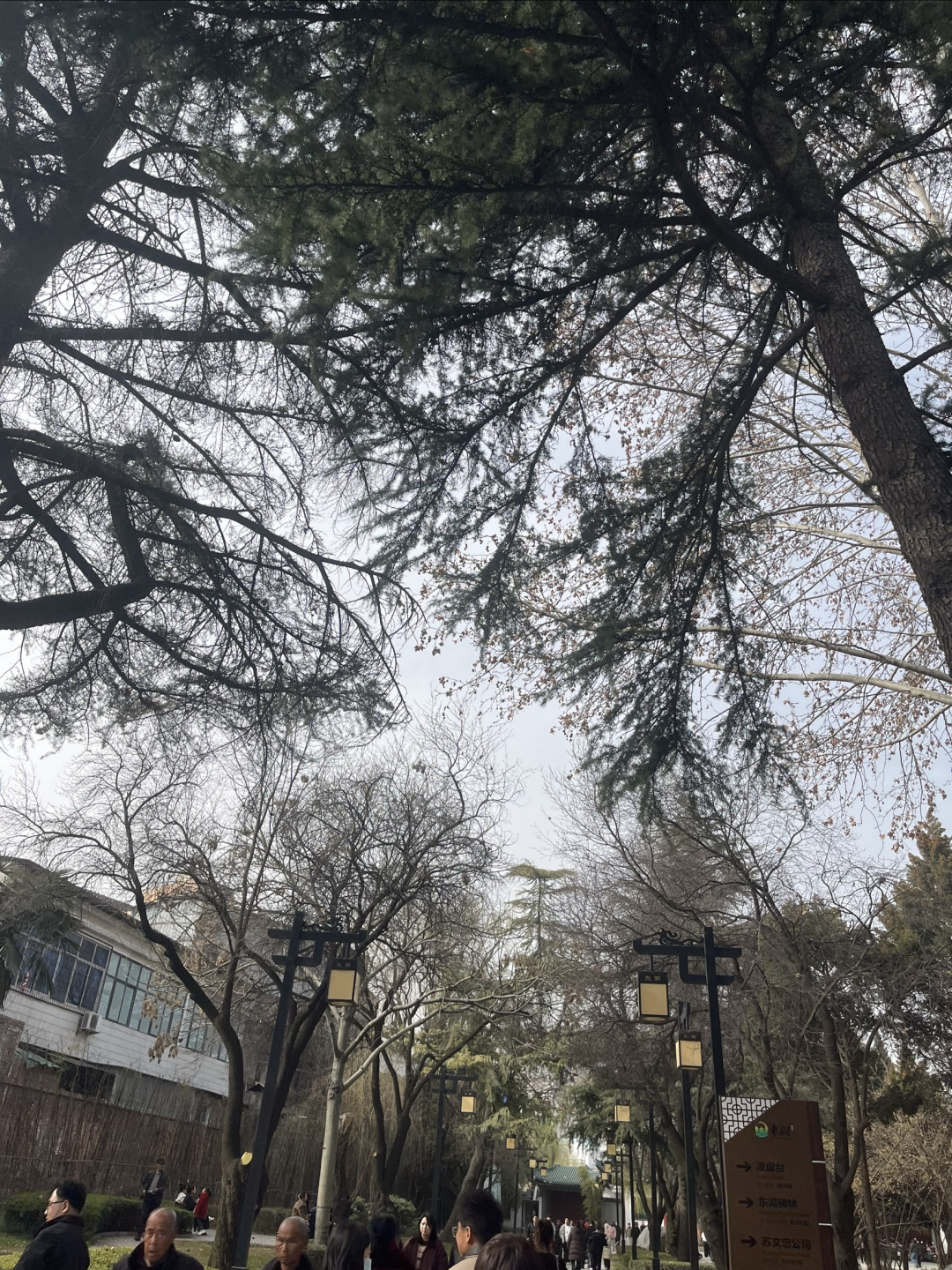 春季养宠防过敏与保暖