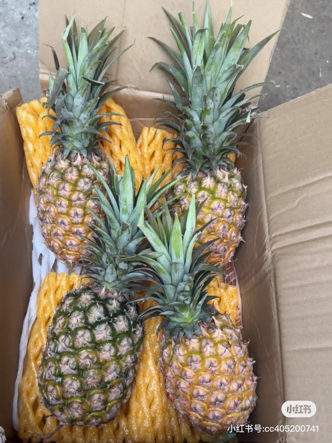 北海生鲜/食品网购避坑!这些细节帮你避坑
