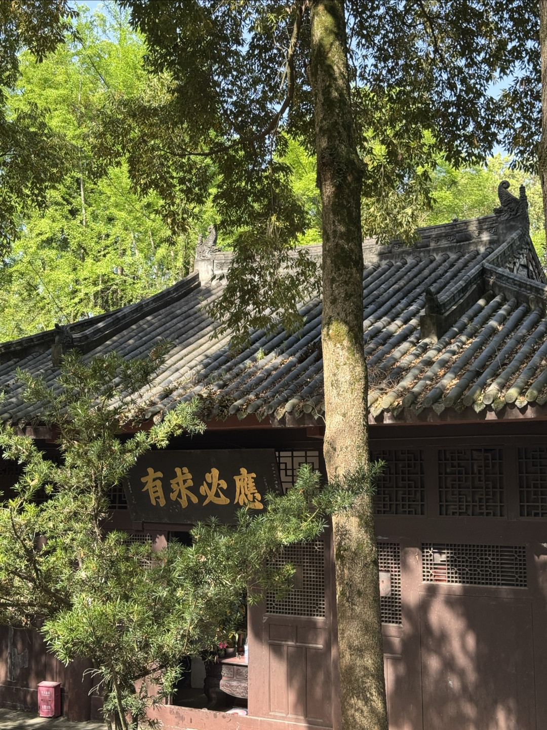 在九莲山,偶遇一座活了五百年的明代美术馆