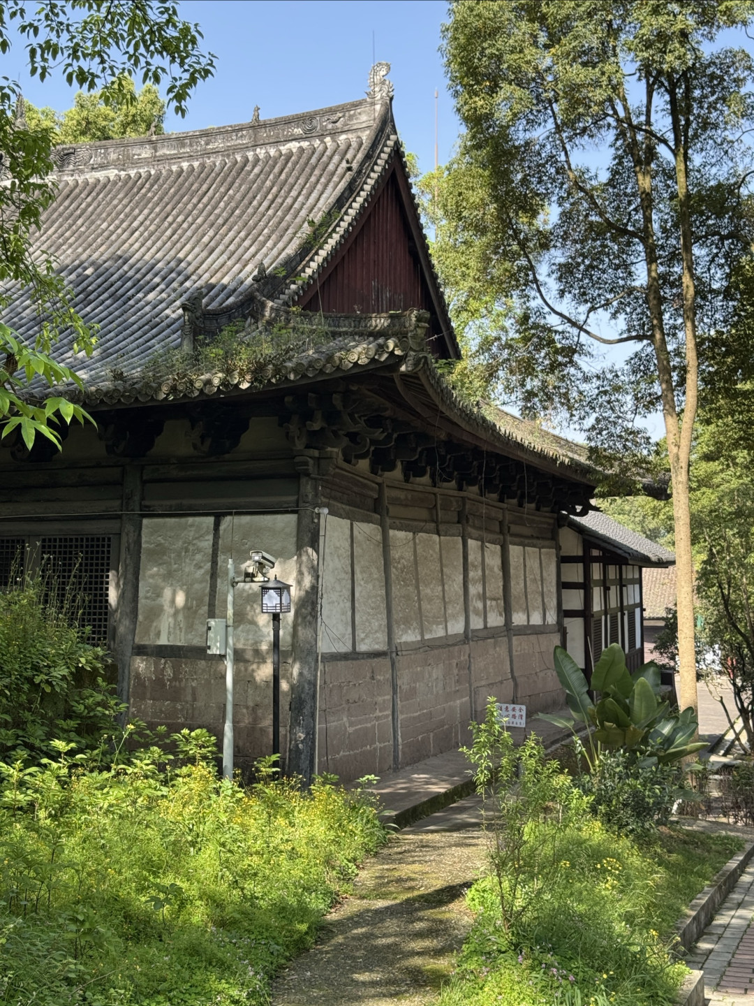 在九莲山,偶遇一座活了五百年的明代美术馆