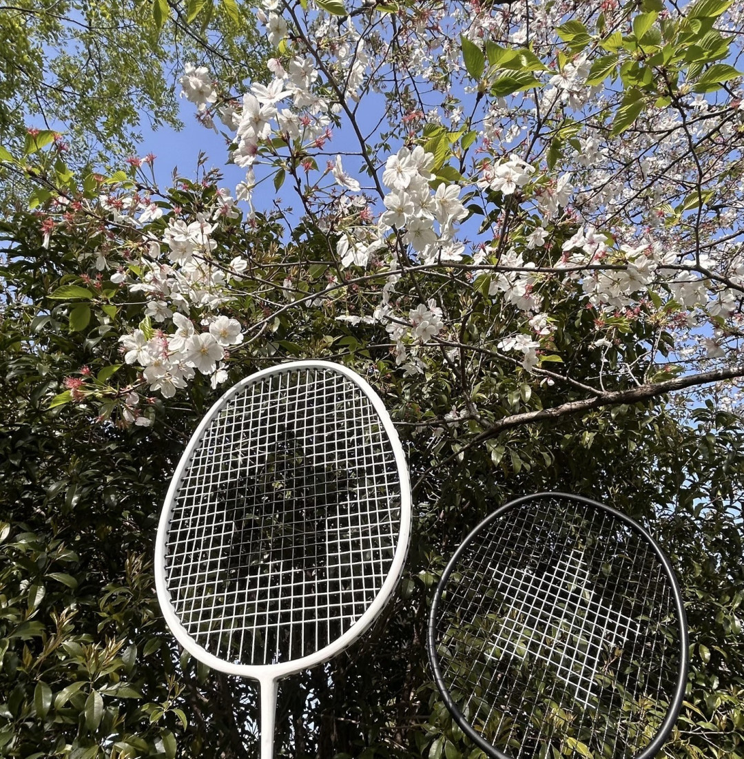 春日羽毛球:健康与乐趣兼得
