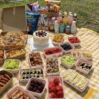 春日野餐:阳光草地的美好时光