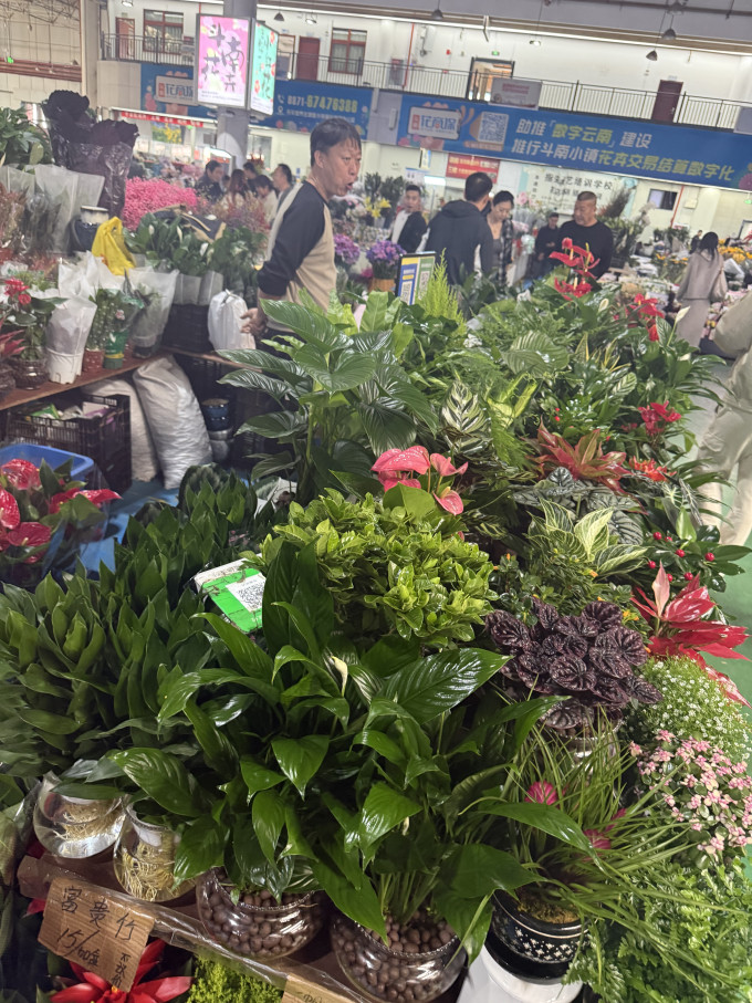 鲜花