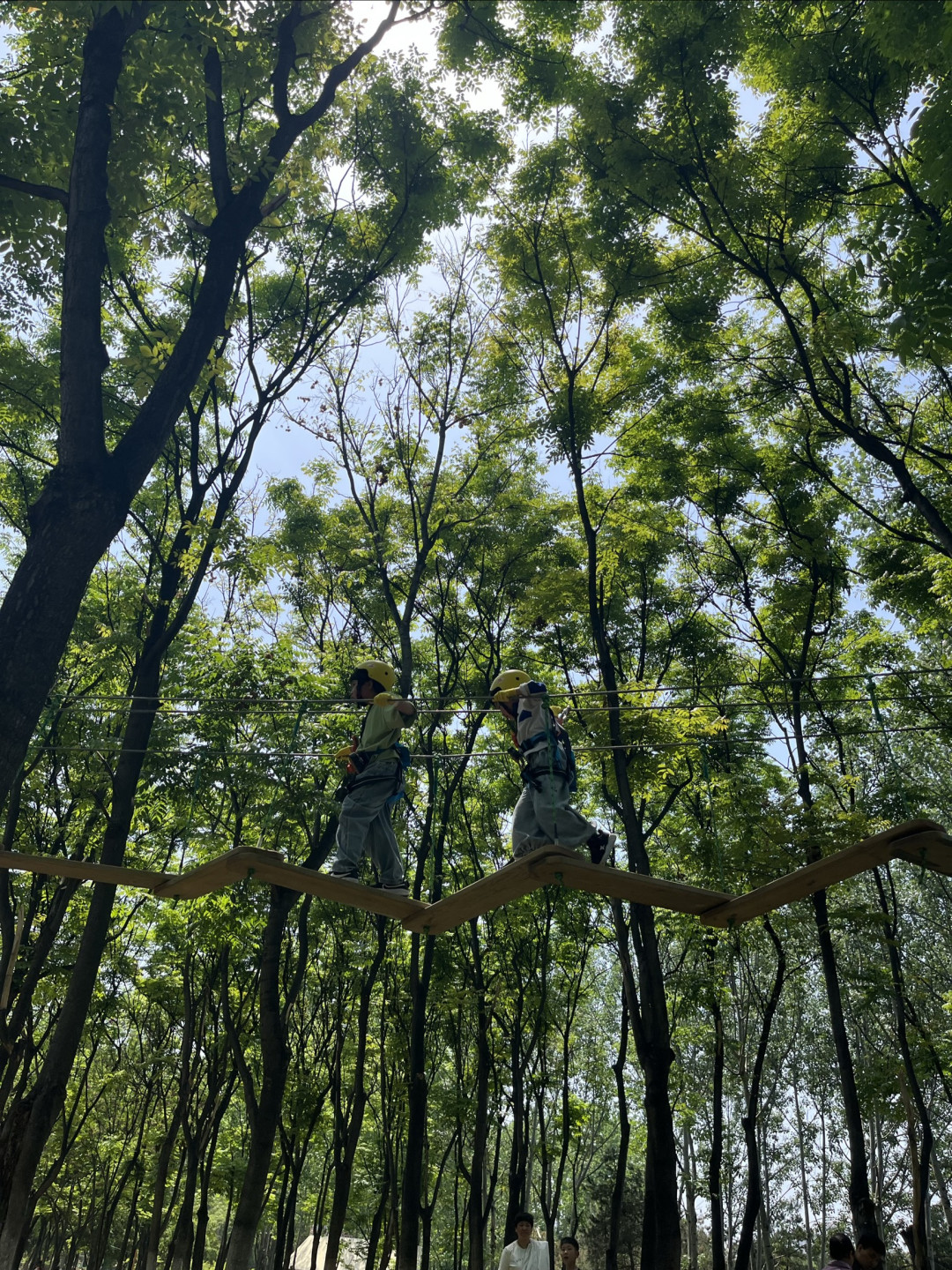 换季健康升级，家庭药箱分类管理
