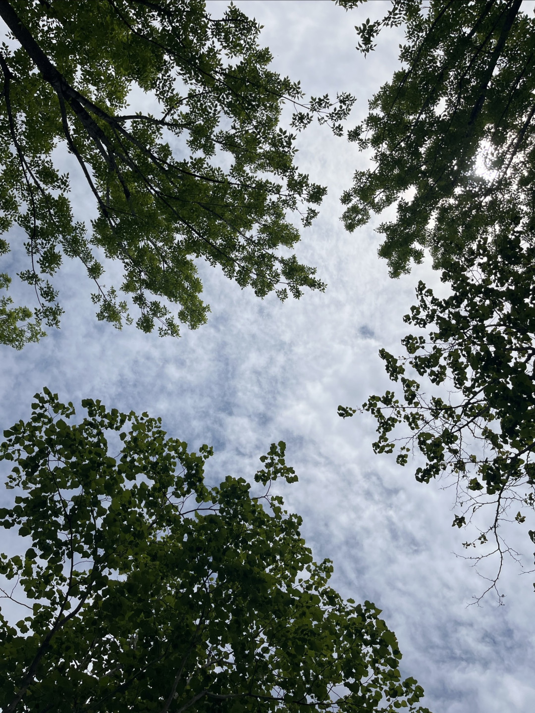 换季收纳与深度清洁规划