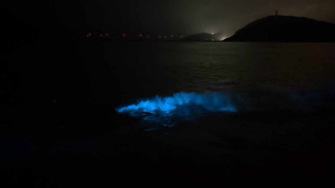 平潭雨天追蓝眼泪，终于等到了