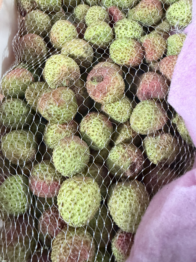 五月第一口鲜，是陵水妃子笑的甜