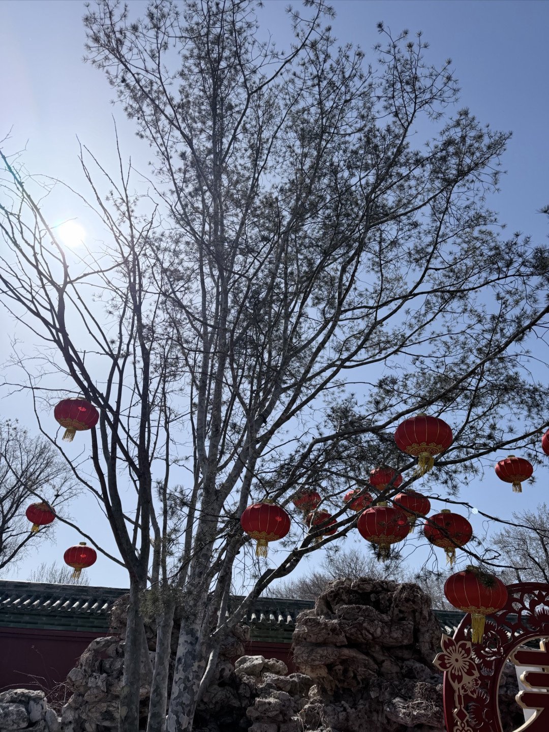 春日遛娃天花板！北海公园藏着老北京最治愈的亲子时光
