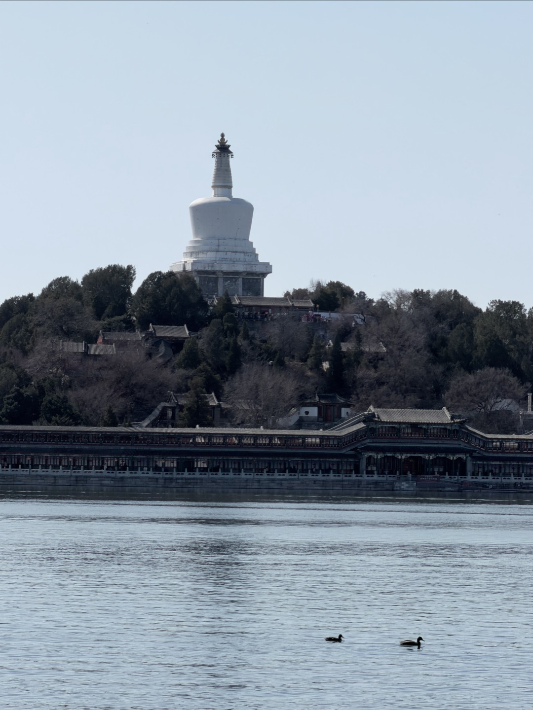 春日遛娃天花板！北海公园藏着老北京最治愈的亲子时光
