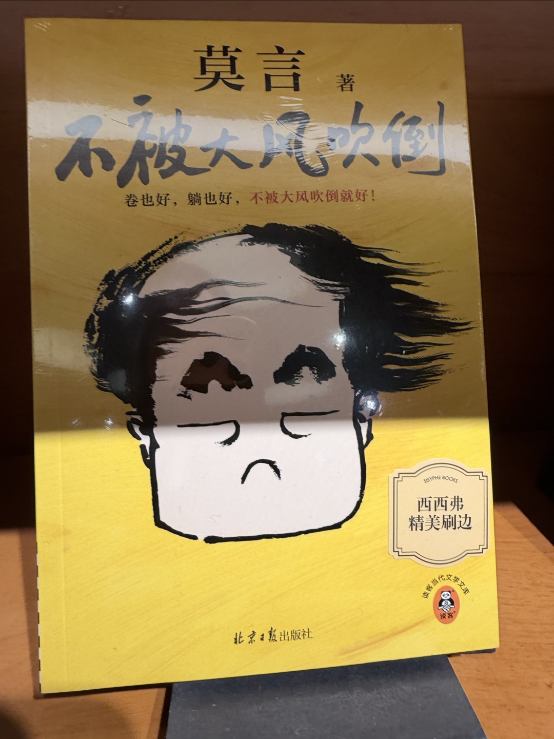 阅读的多元切面:在不同故事里,读懂生命的千种答案