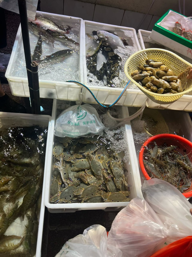 盛夏限定快乐｜海鲜配啤酒，解锁夏日地道烟火味