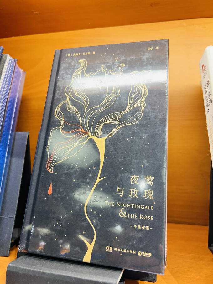人民文学出版社小说