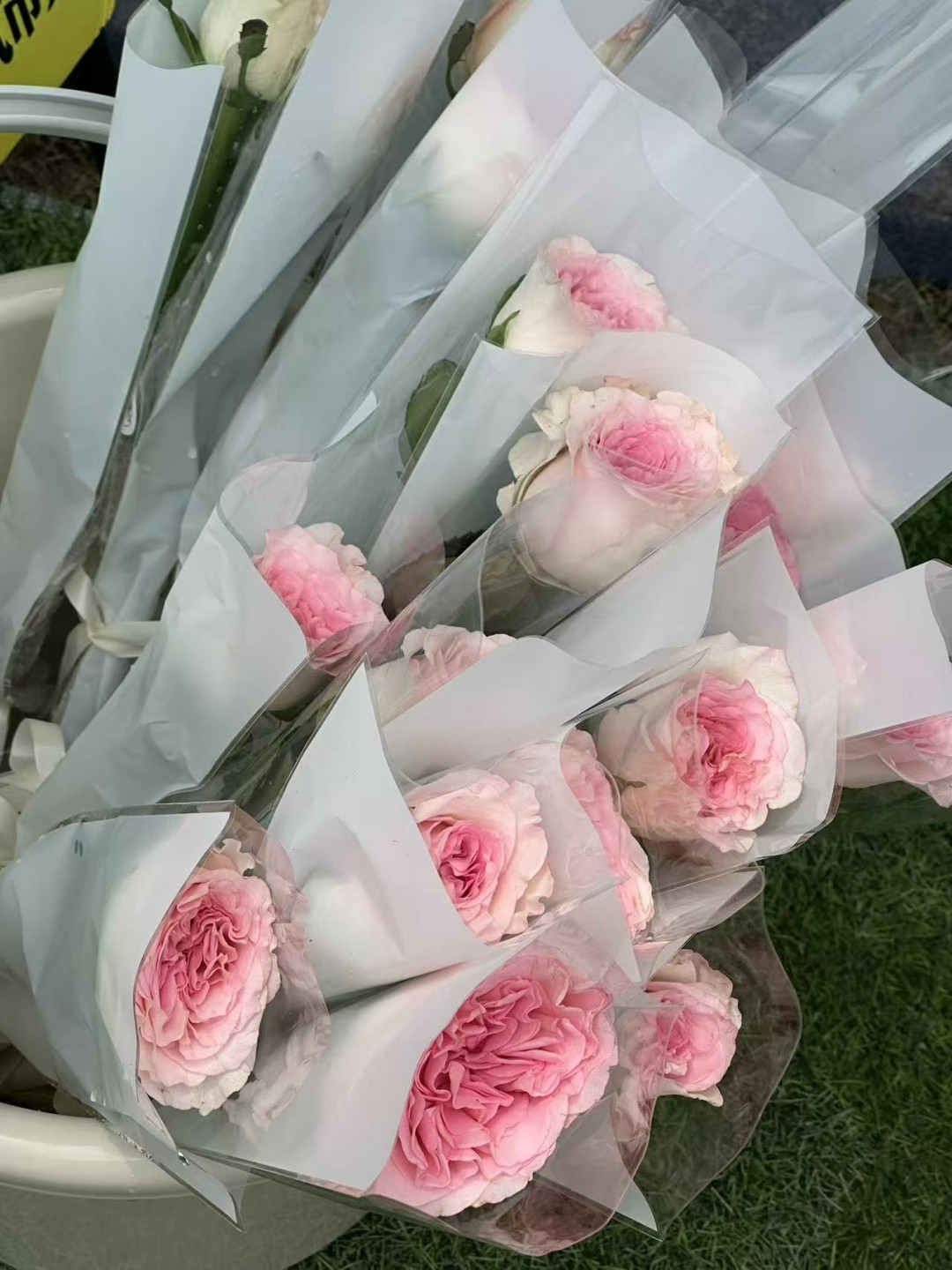 街角的小邂逅，小花很美哦