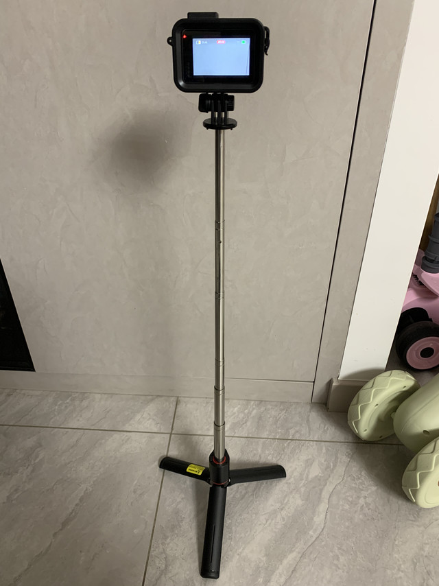 掌心大小的意外惊喜