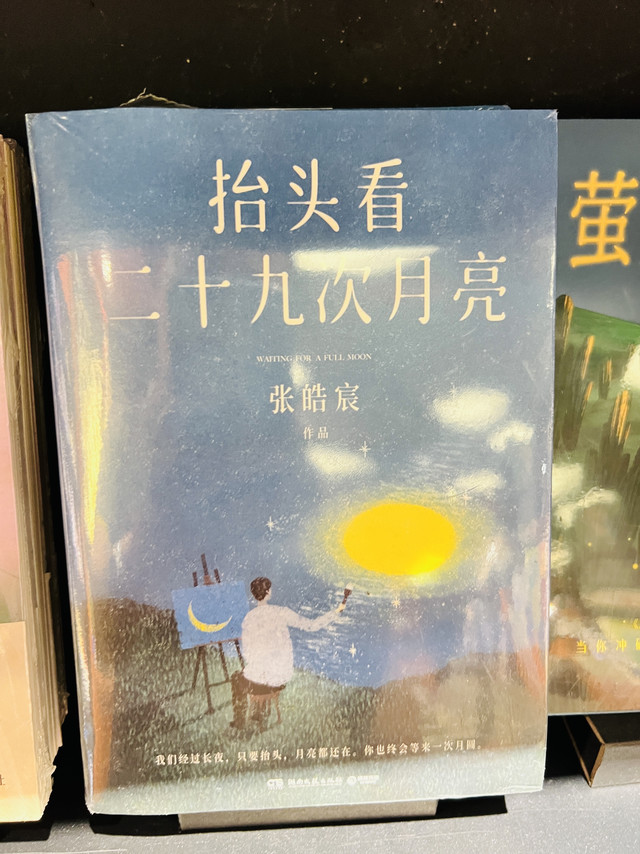 夏日书单：在书页里，安顿一段温柔时光