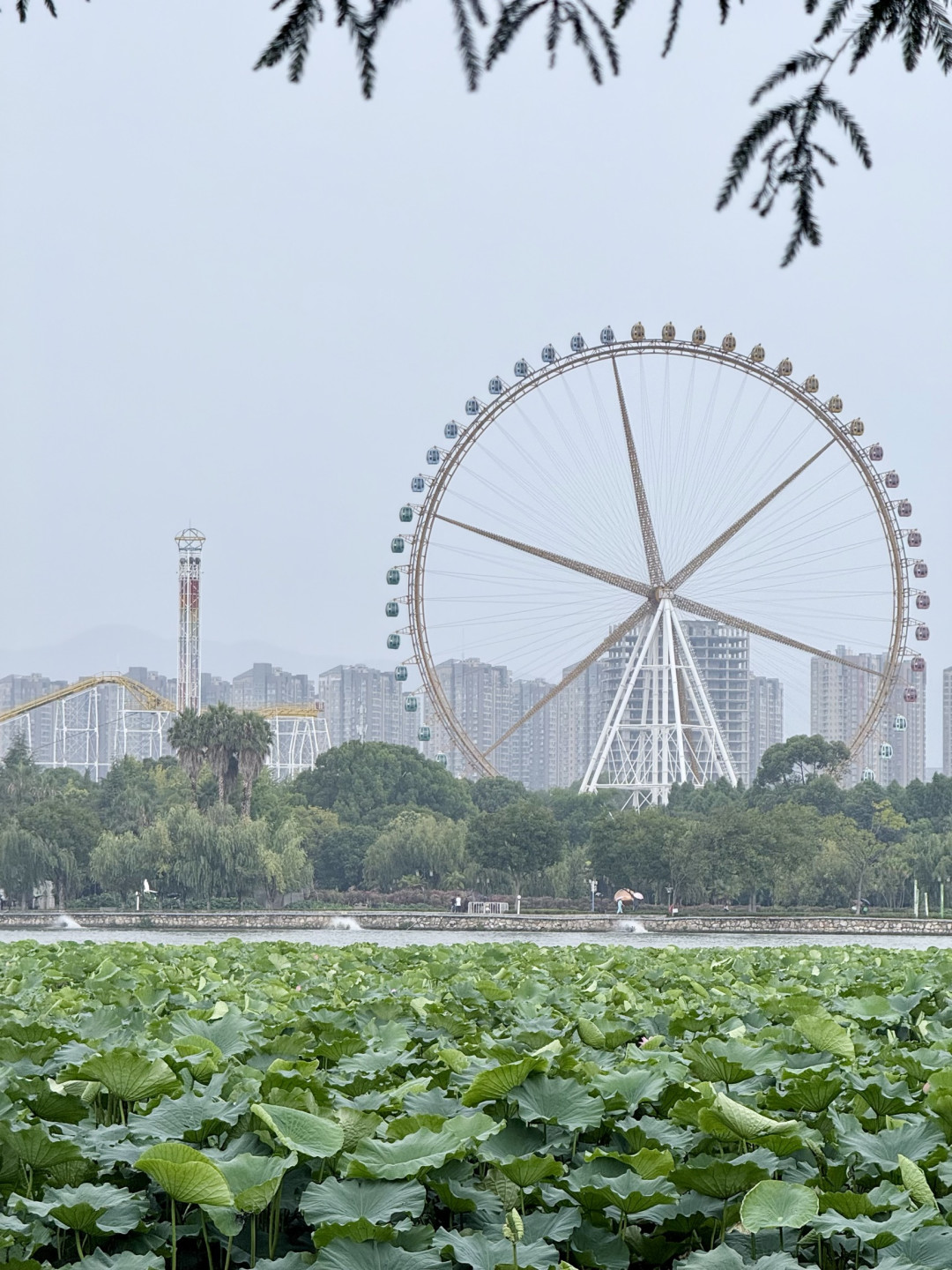 22℃的昆明夏日，1碗卤面1杯咖啡徒步5公里