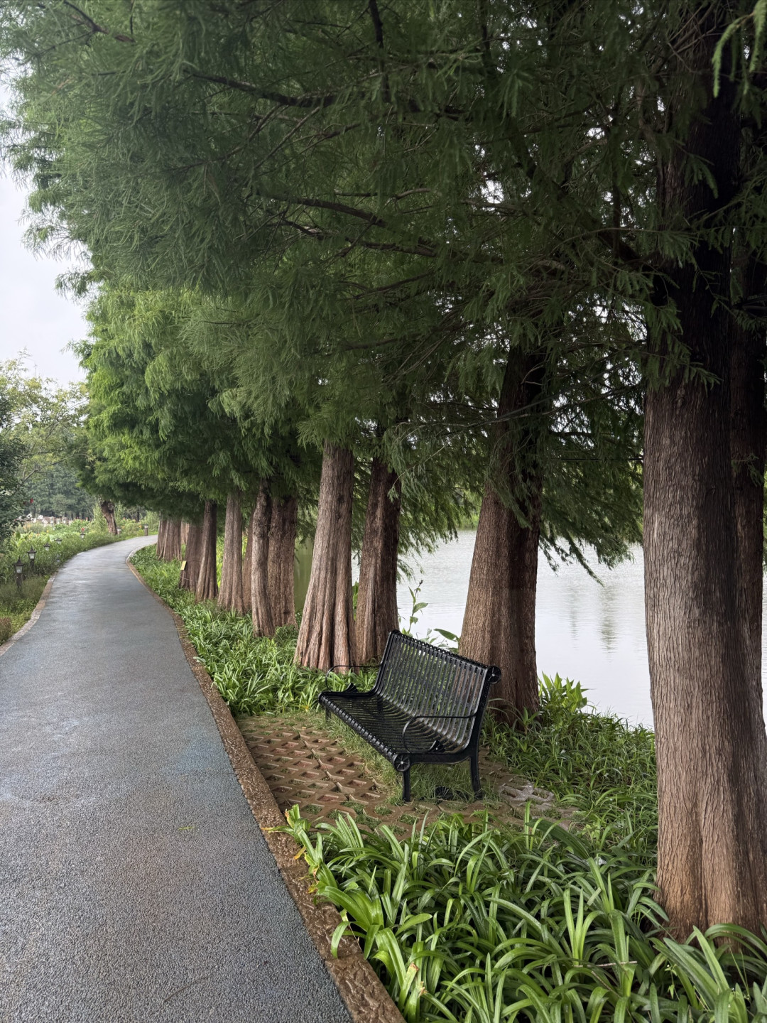 22℃的昆明夏日，1碗卤面1杯咖啡徒步5公里