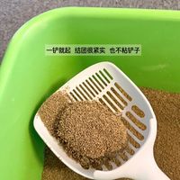 猫爸爸家的竹砂让养猫人的鼻子有救了