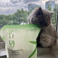 猫爸爸家的竹猫砂！除臭效果是👍