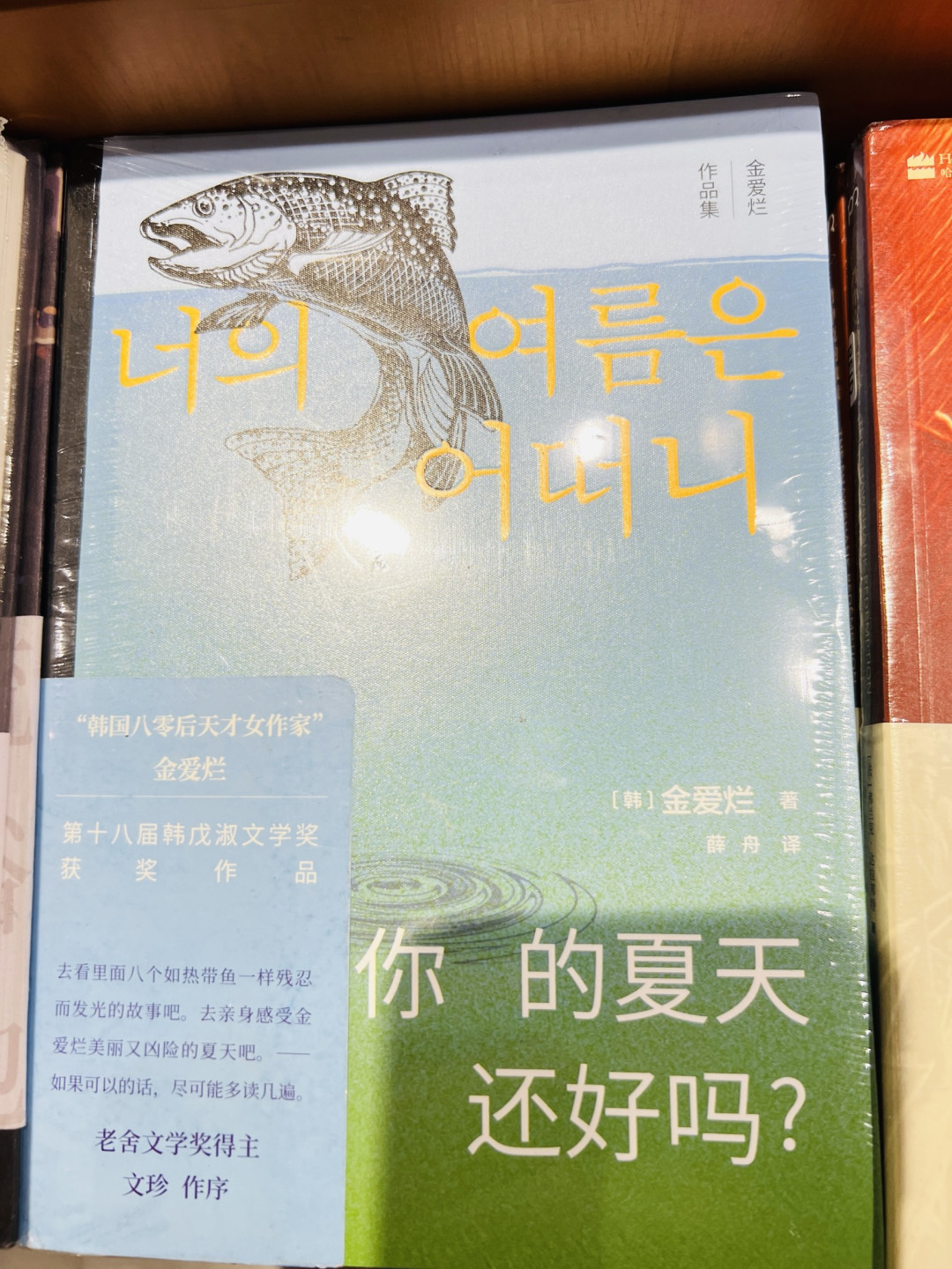 开学书单,翻开书页,奔赴多元的精神世界