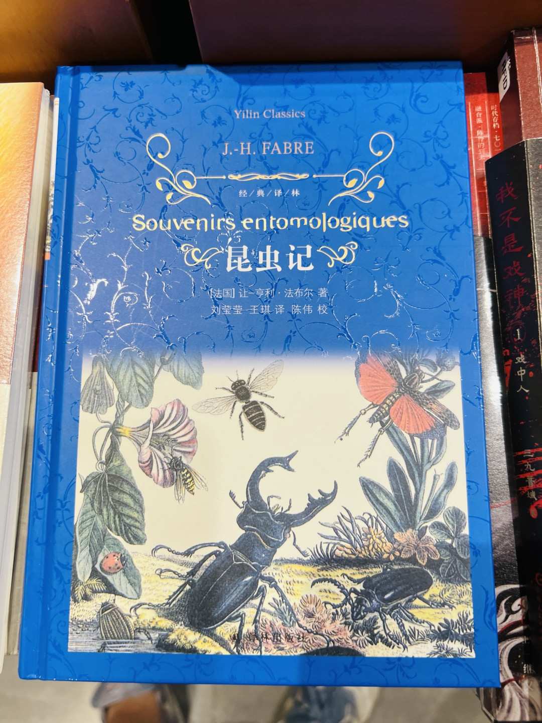 开学书单,翻开书页,奔赴多元的精神世界