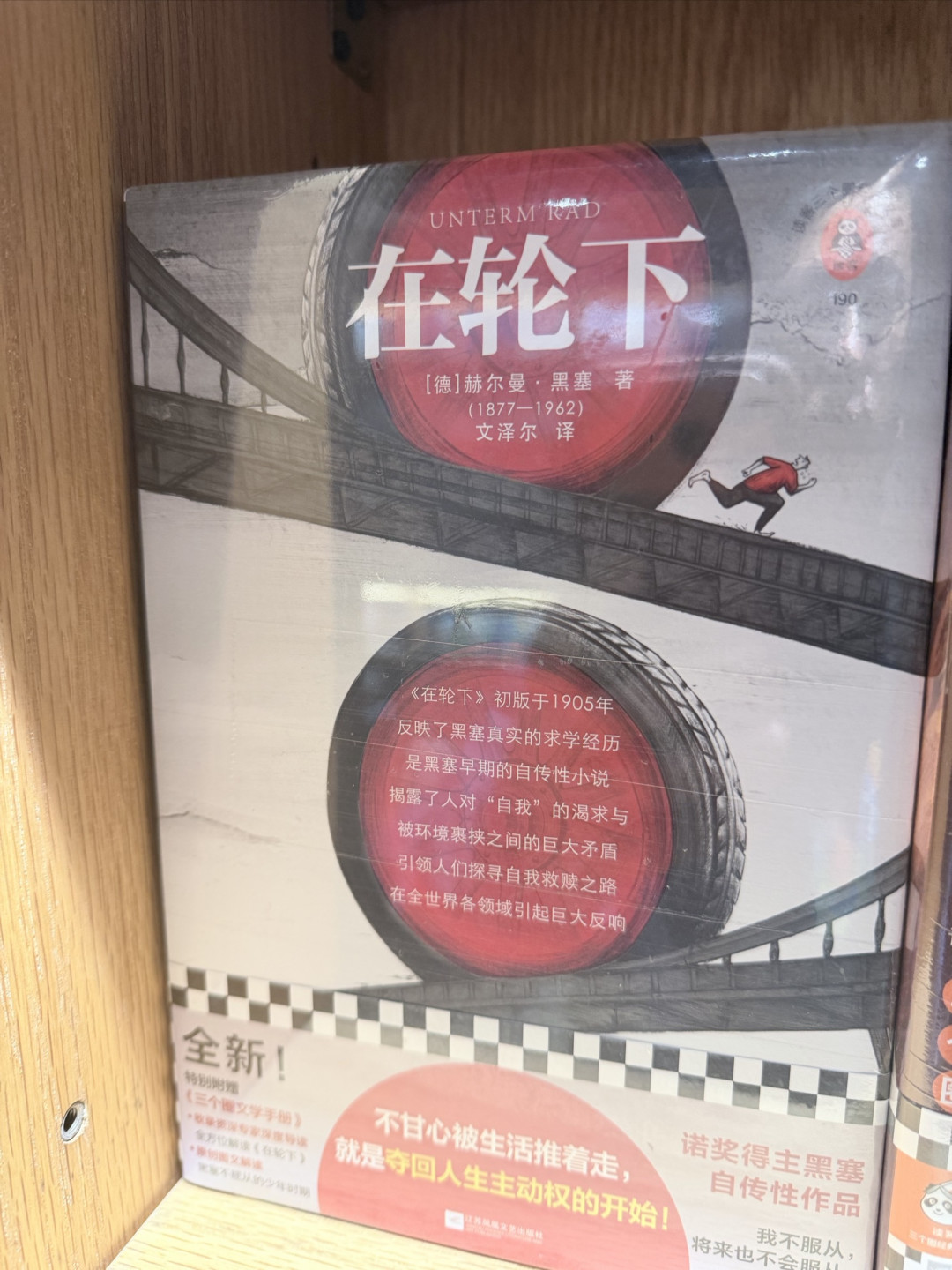开学书单:在书页里锚定自我,安放成长的迷茫