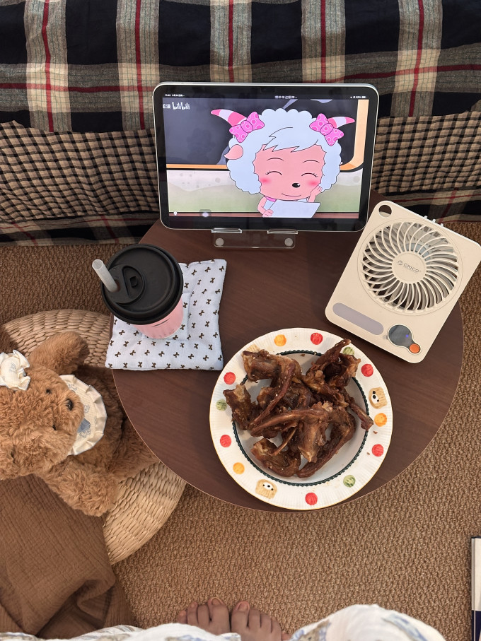 陈阿炳肉干肉脯