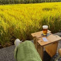 下班后的一小时，我在稻田边喝啤酒咖啡