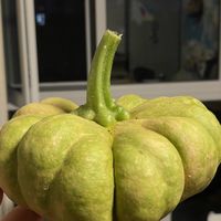 在北京要是有一个大棚，吃菜能自由？