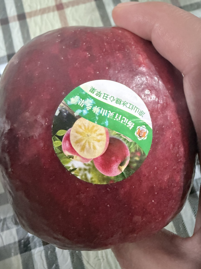 京觅苹果
