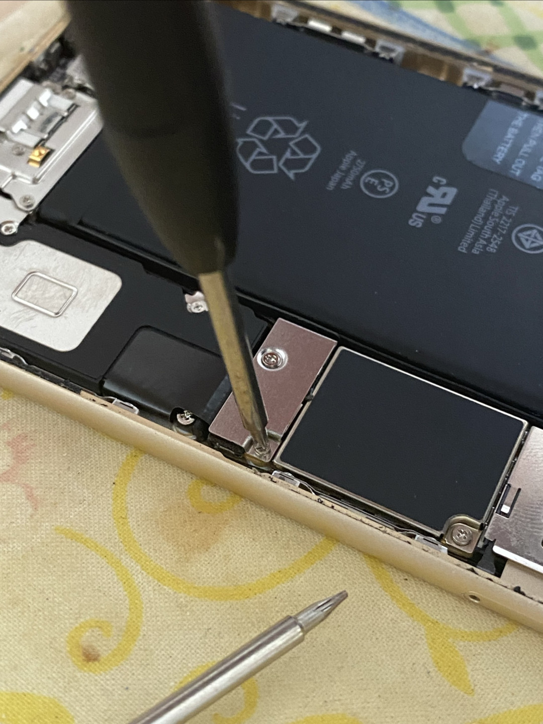 买iphone18p以旧换新送走iphone6sp,换屏幕拯救照片