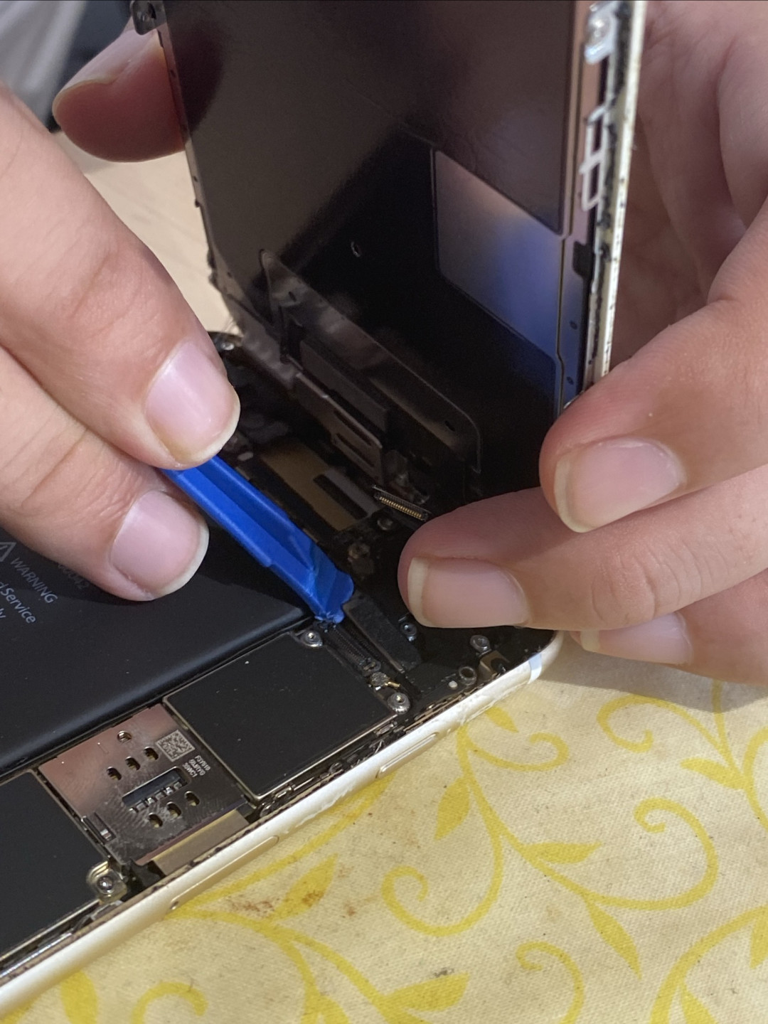 买iphone18p以旧换新送走iphone6sp,换屏幕拯救照片