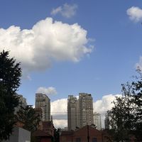 立冬炖汤切到手，先止血别撒盐